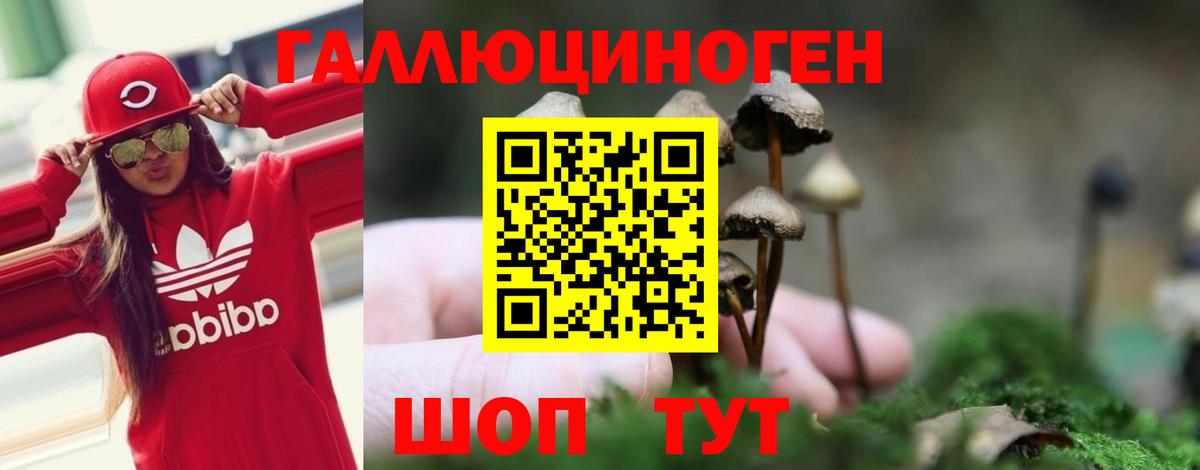 Псилоцибиновые грибы Magic Shrooms Энгельс